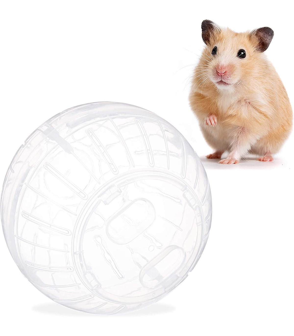 Minge hamster transparenta familio.ro pret redus imagine 2022