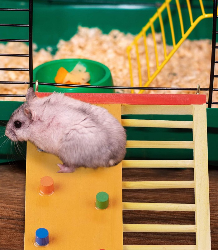 Jucarie interactiva pentru hamster, Lemn, Multicolor