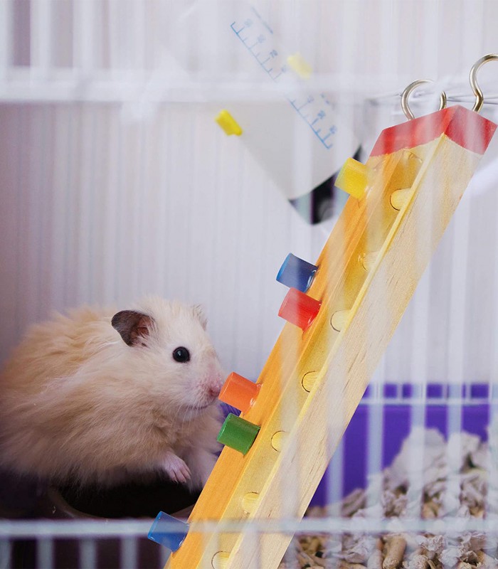 Jucarie interactiva pentru hamster, Lemn, Multicolor