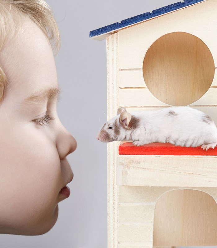 Casuta pentru hamster, Lemn, 16.5 x 17 x 15 cm